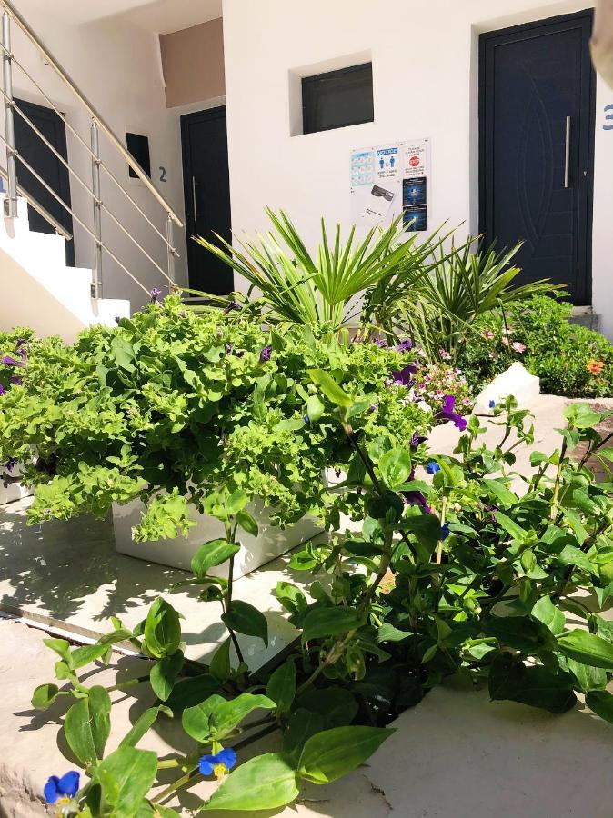 Villa Lemar Sarti Ngoại thất bức ảnh